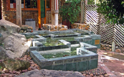 Places To Go: Lowveld Botanical Gardens