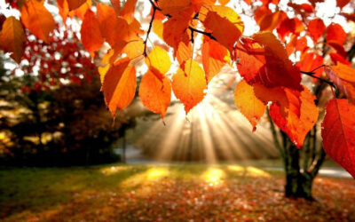 Places in and around Nelspruit to have a Winter Picnic