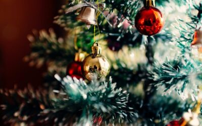 Must Visit Lowveld Christmas Markets