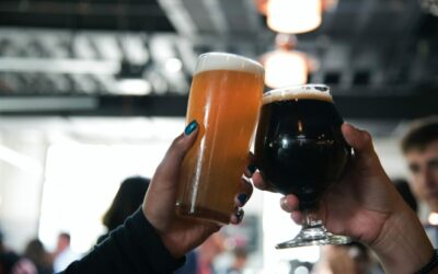 Innibos 2024: Your Survival Guide