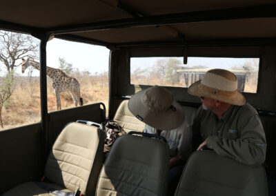 Safari
