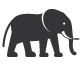 Elephant Icon 