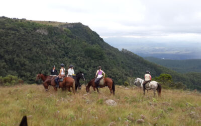 The Budget Friendly Towns of South Africa